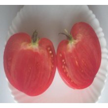 Редкие сорта томатов Гордость Грайтмара 
